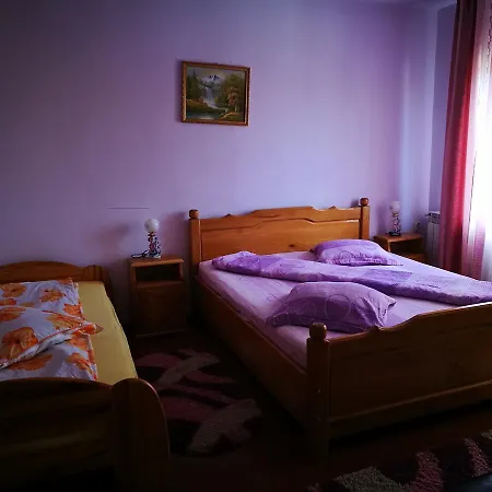 Pensiunea Ramona Guest house *
