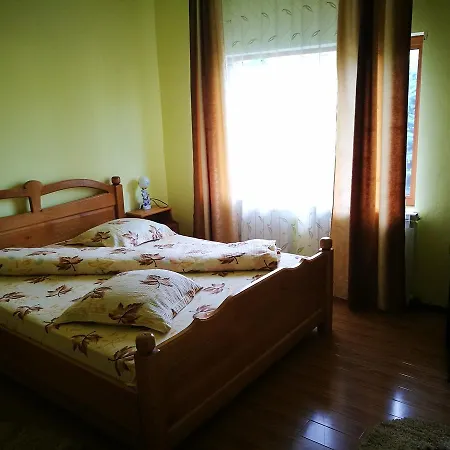 Guest house Pensiunea Ramona *