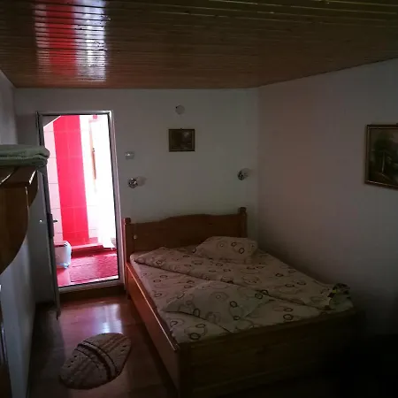 Pensiunea Ramona Guest house *