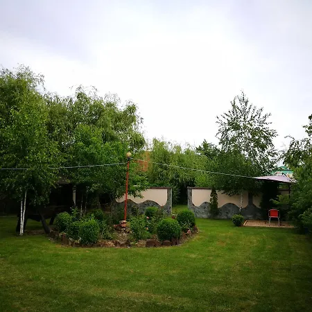 Pensiunea Ramona Guest house Carpinisu