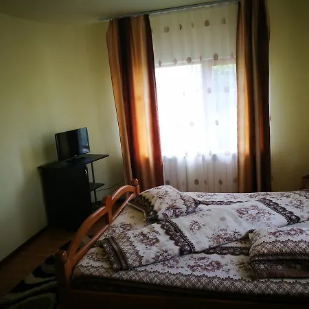 Guest house Pensiunea Ramona