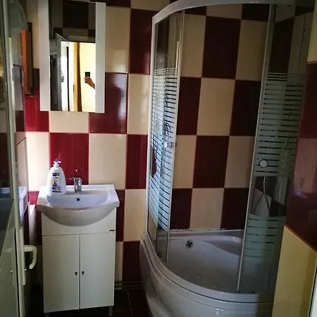 Guest house Pensiunea Ramona *