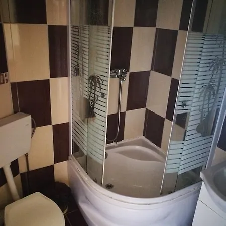 Guest house Pensiunea Ramona Carpinisu