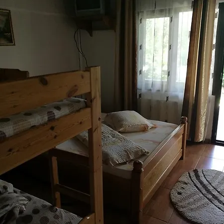 Pensiunea Ramona Guest house