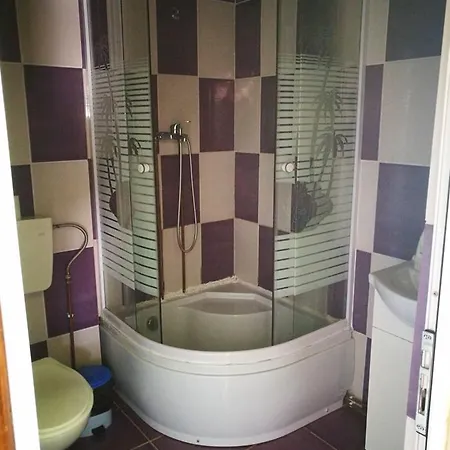 Guest house Pensiunea Ramona