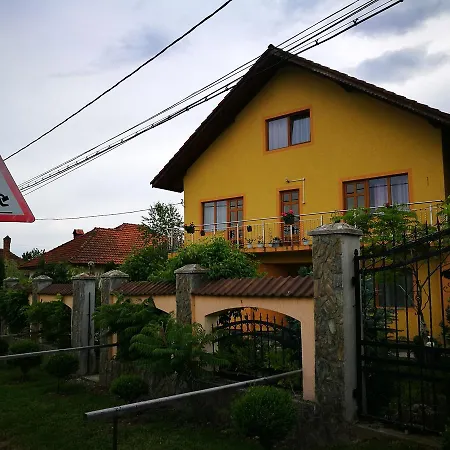Pensiunea Ramona Guest house Carpinisu