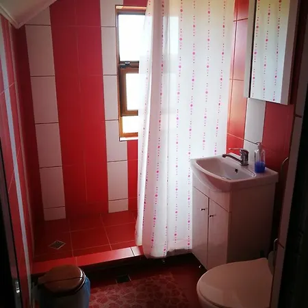 Guest house Pensiunea Ramona *